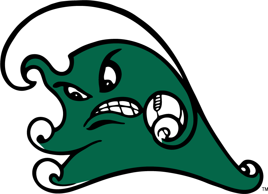 Tulane Green Wave 2016-2017 Secondary Logo v2 diy iron on heat transfer